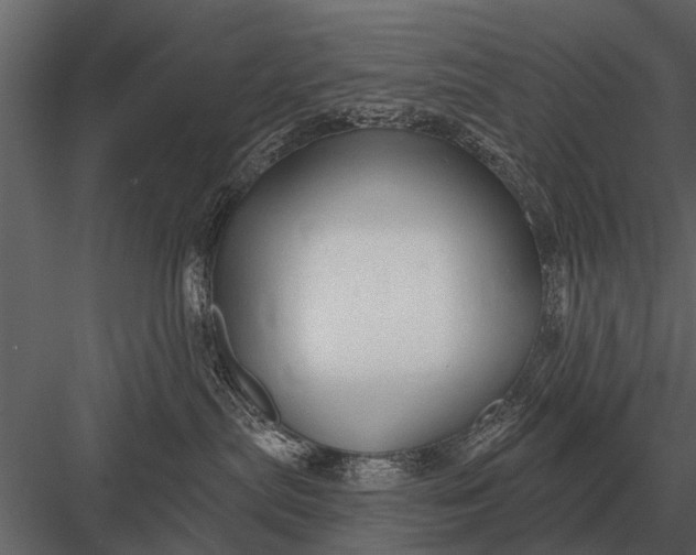 X0000083550287200702240119