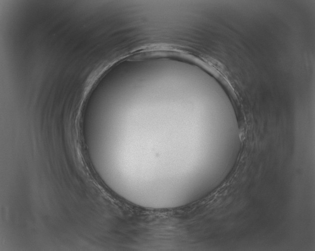 X0000083550289200702240118