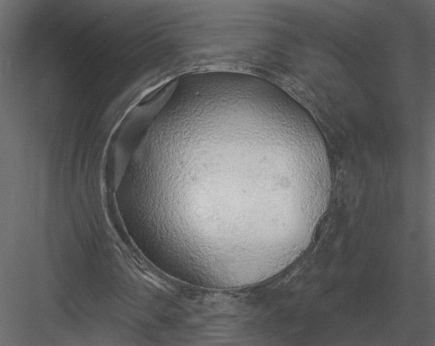 X0000083550290200702240118