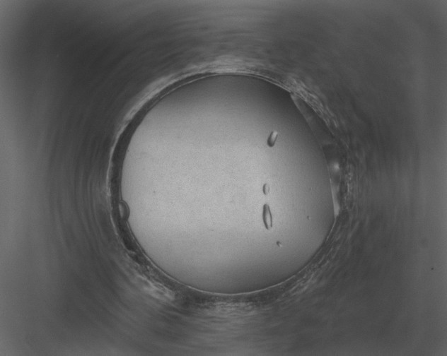 X0000083550292200702240118