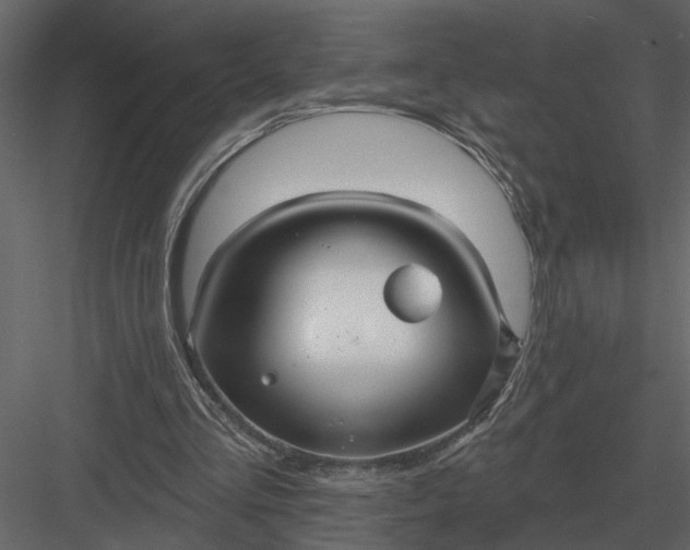X0000083550293200702240118