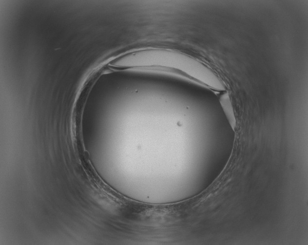 X0000083550294200702240118