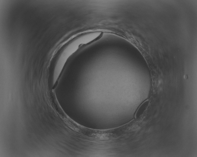 X0000083550295200702240118