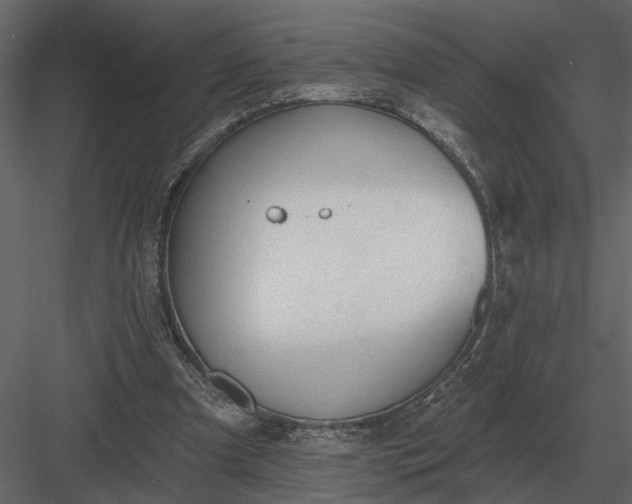 X0000083550297200702240118