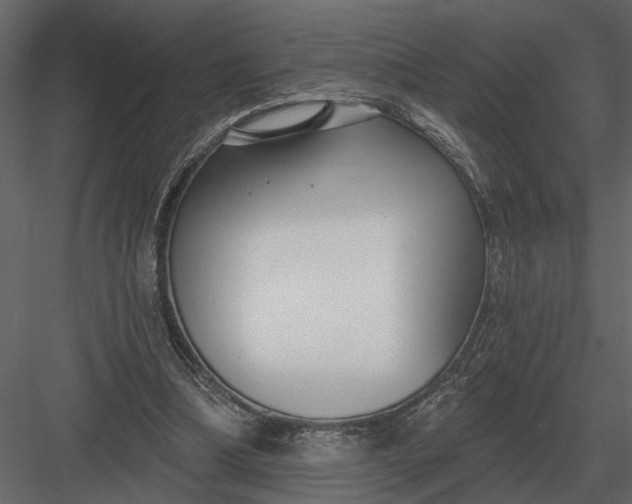 X0000083550298200702240118