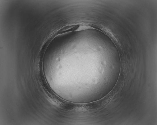 X0000083550299200702240118