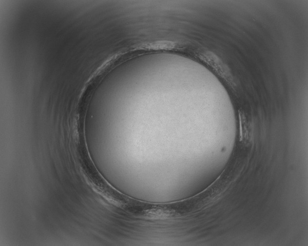 X0000083550300200702240118