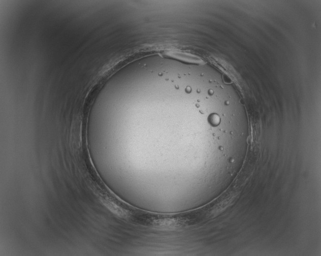 X0000083550301200702240118