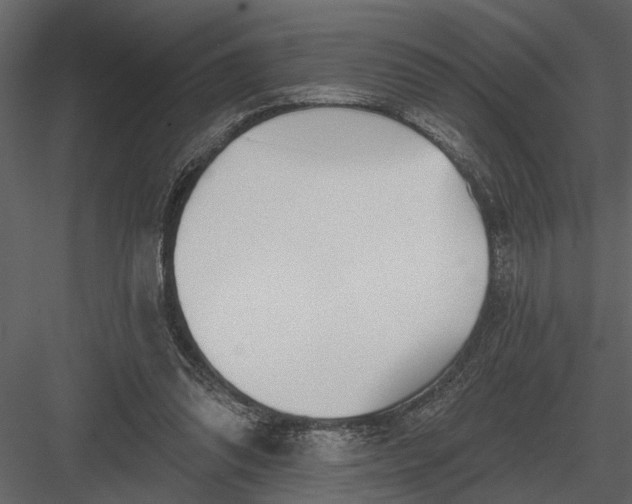 X0000083550302200702240118
