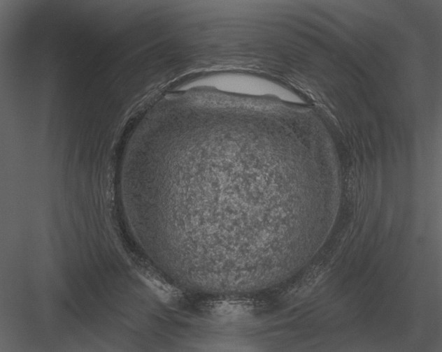 X0000083550303200702240118