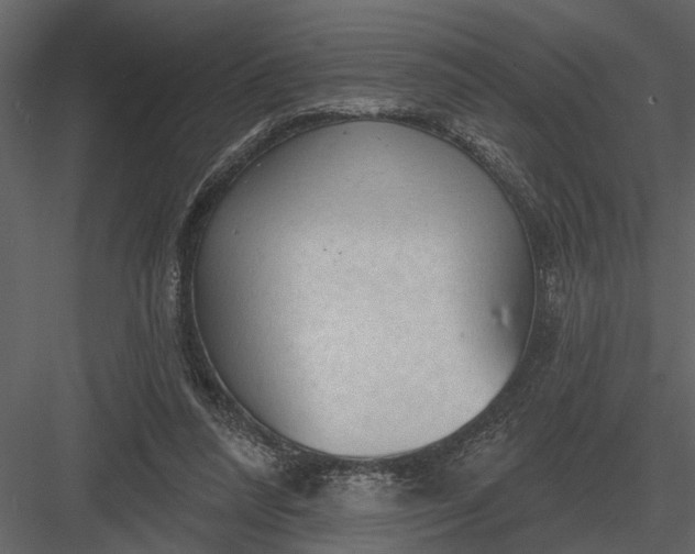 X0000083550304200702240118
