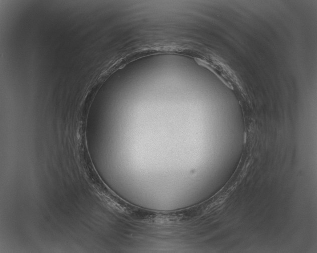 X0000083550305200702240118