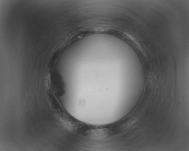 X0000083550307200702240118