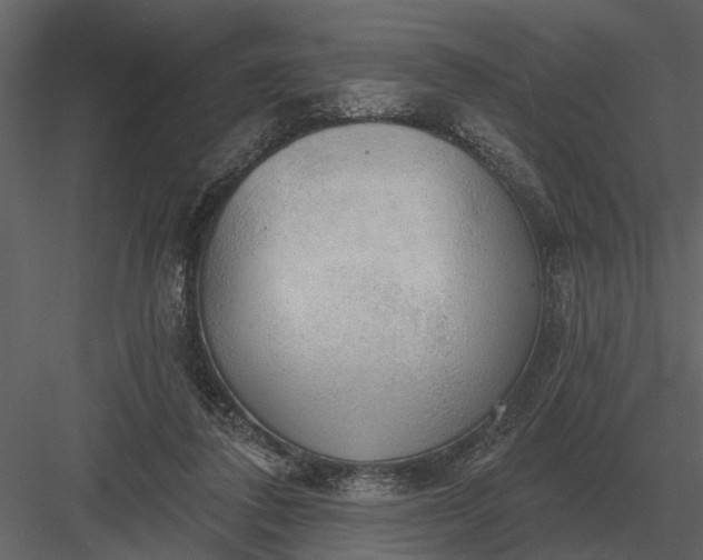 X0000083550308200702240118