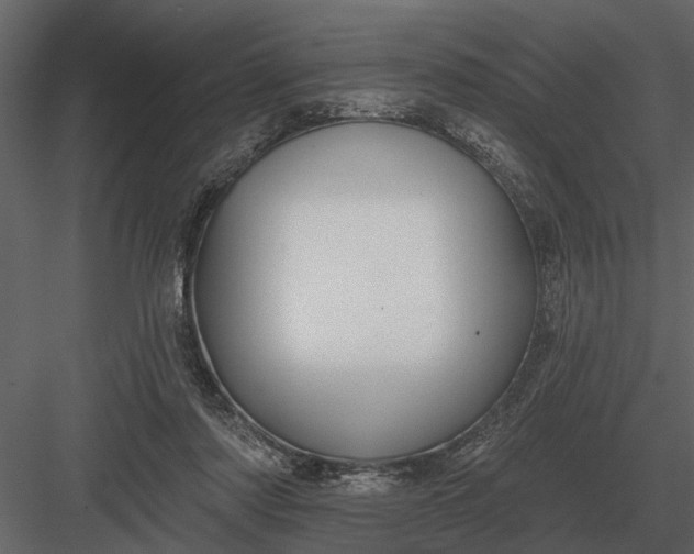 X0000083550310200702240118