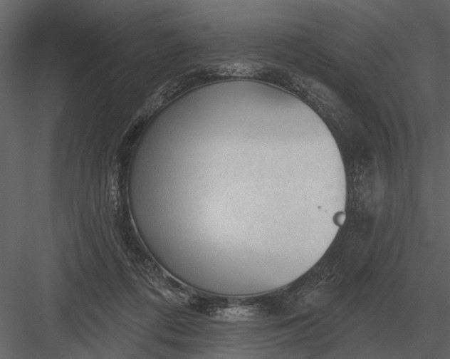 X0000083550312200702240118