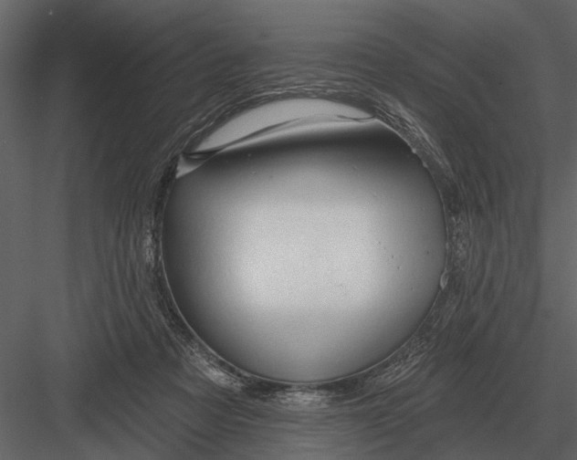 X0000083550313200702240118