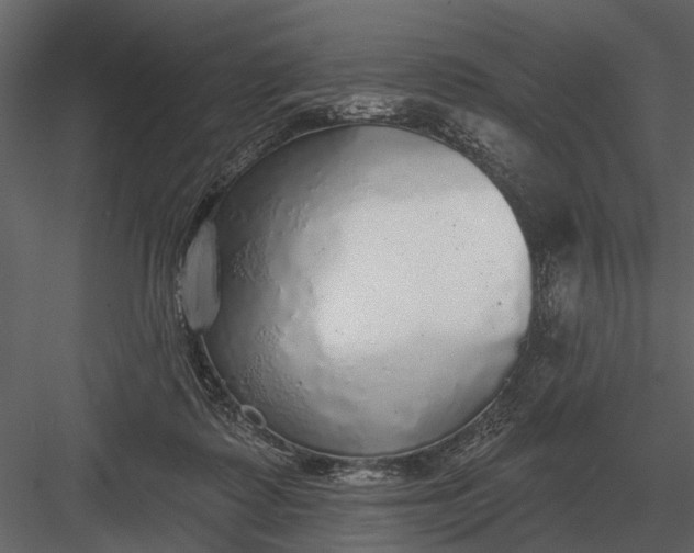 X0000083550315200702240118