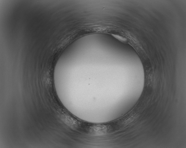 X0000083550317200702240118