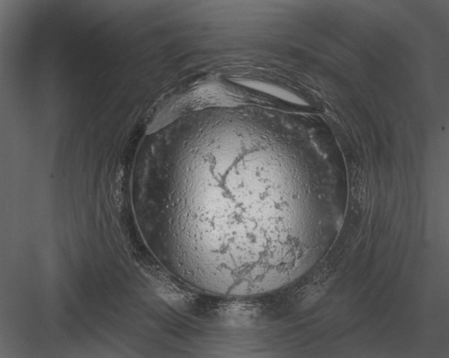 X0000083550319200702240118