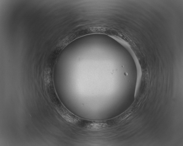 X0000083550323200702240118