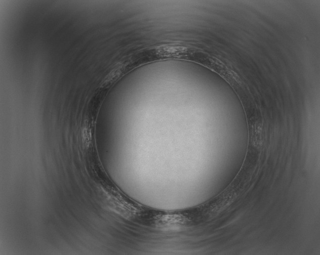 X0000083550324200702240118
