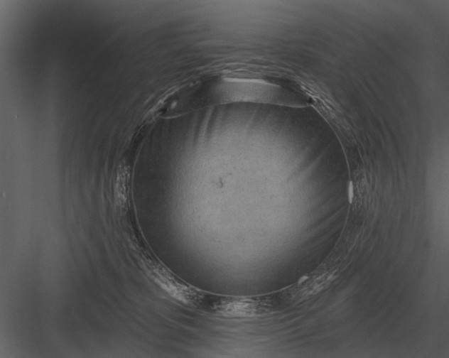 X0000083550325200702240118