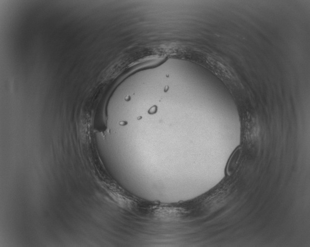 X0000083550332200702240118