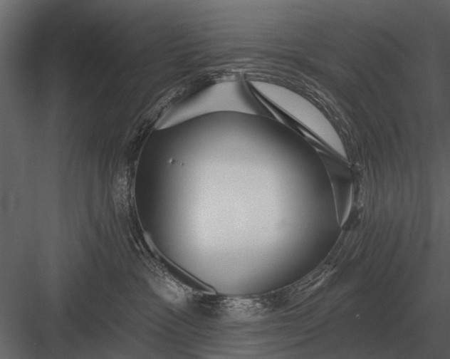 X0000083550333200702240118