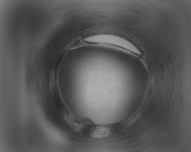 X0000083550335200702240118