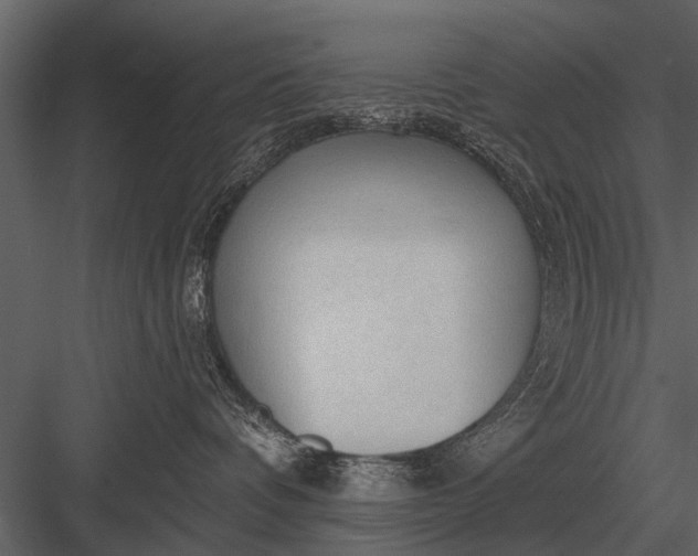 X0000083550336200702240118