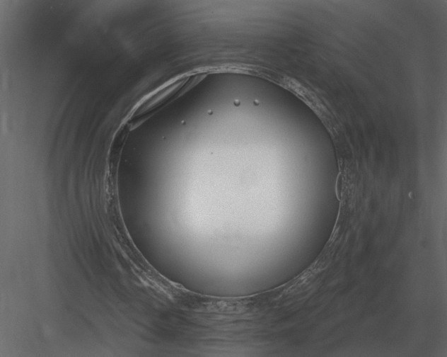 X0000083550338200702240117