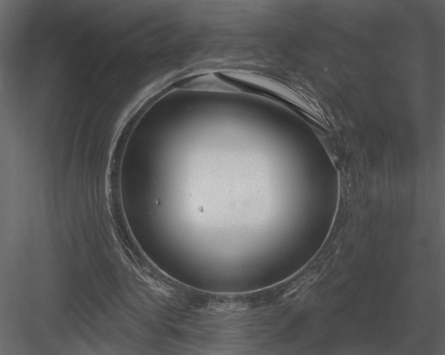 X0000083550340200702240117