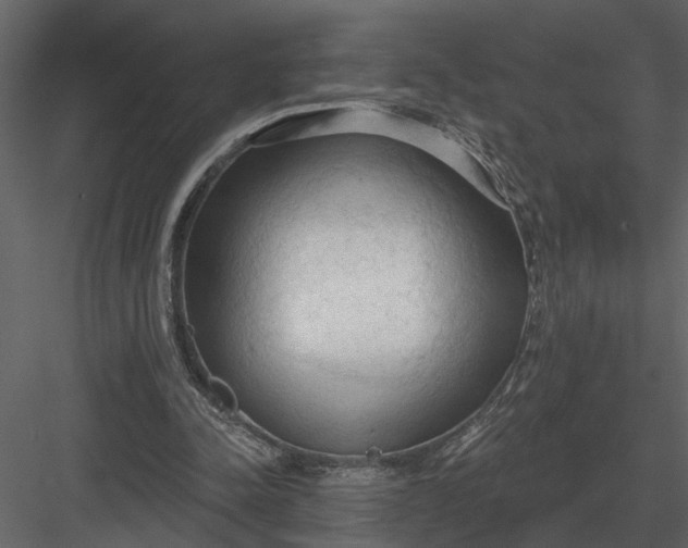 X0000083550342200702240117