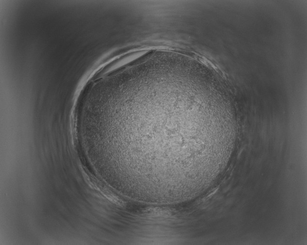 X0000083550343200702240117