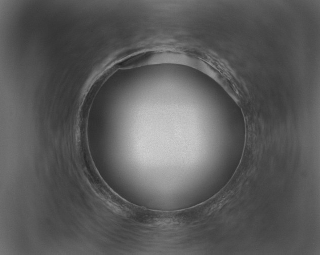 X0000083550344200702240117