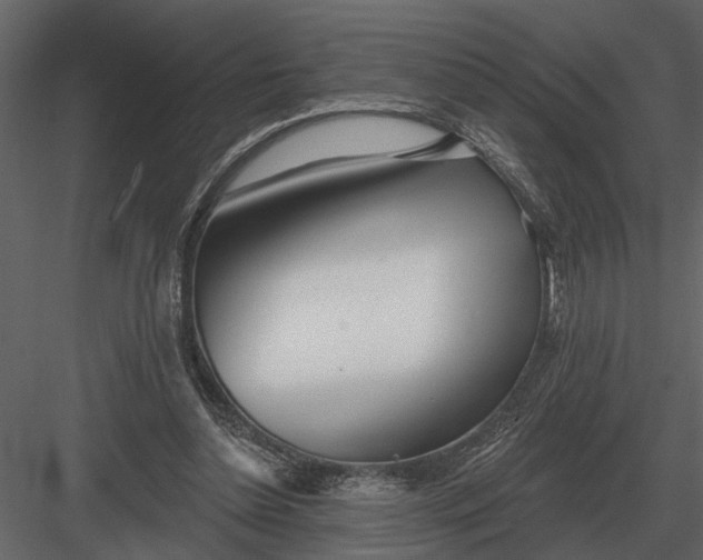 X0000083550348200702240117