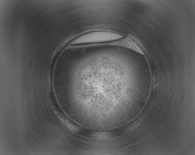 X0000083550349200702240117