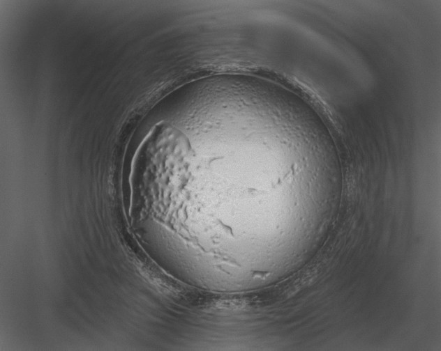 X0000083550353200702240117