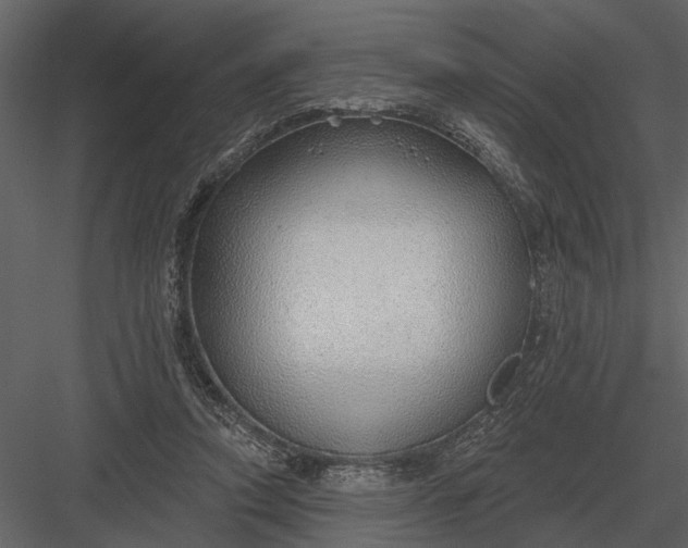 X0000083550354200702240117