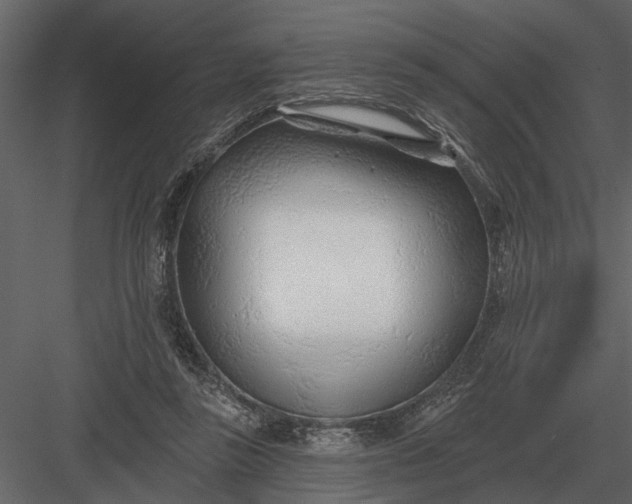 X0000083550355200702240117