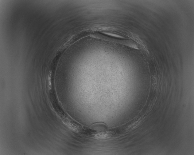 X0000083550358200702240117