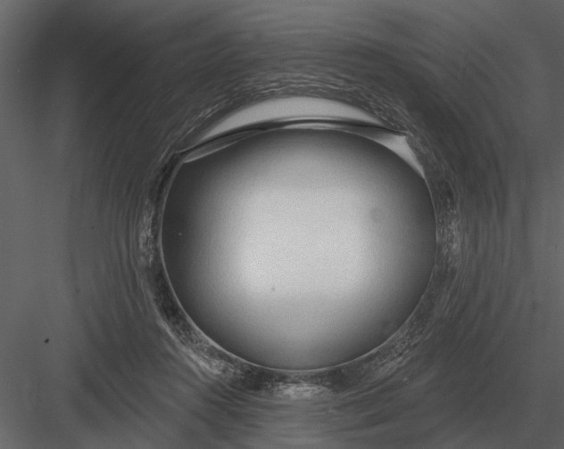 X0000083550360200702240117