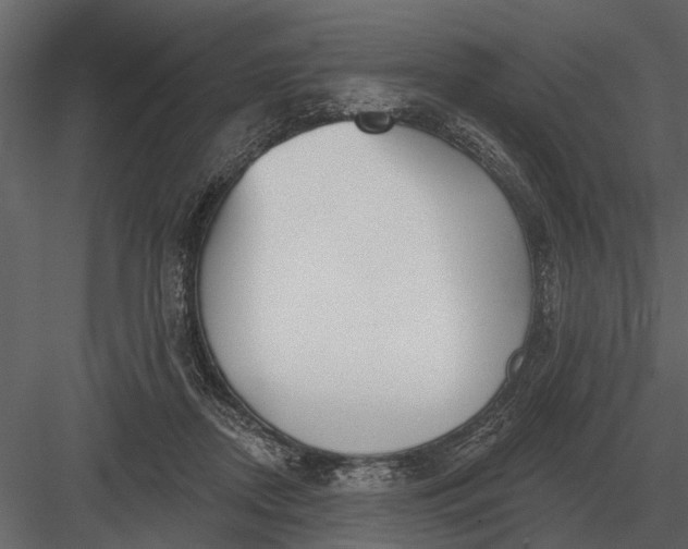 X0000083550362200702240117