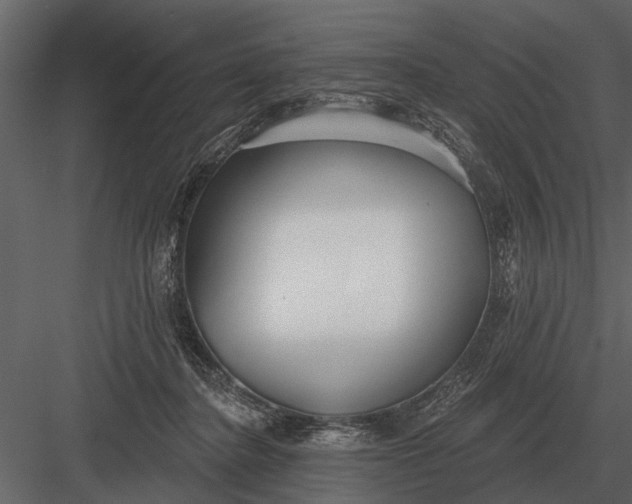 X0000083550364200702240117
