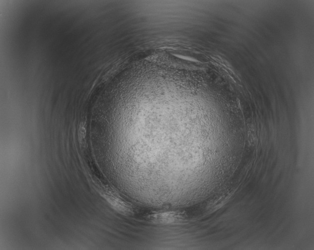 X0000083550365200702240117