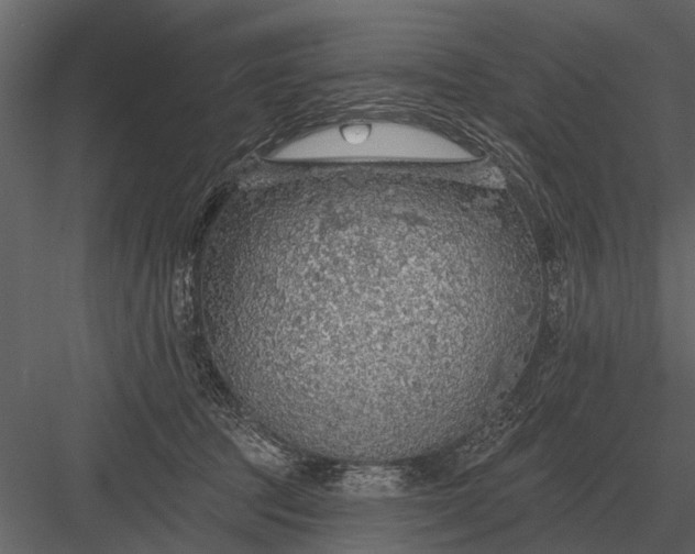 X0000083550369200702240117