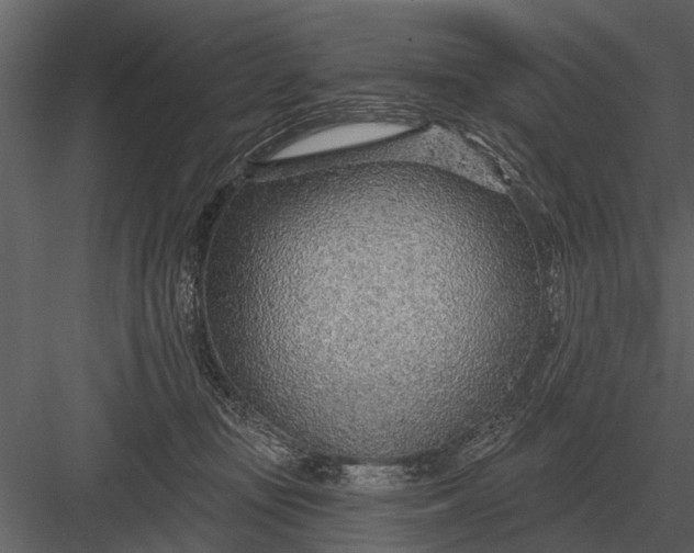X0000083550371200702240117