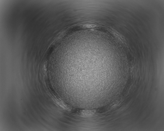 X0000083550373200702240117