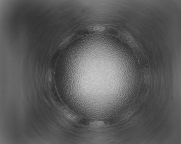 X0000083550374200702240117